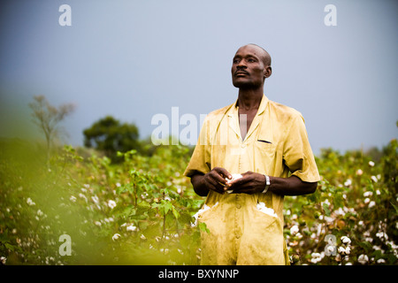 Cotton farmer from Mali Stock Photo