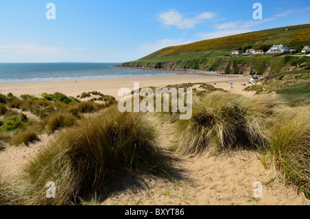 Braunton Burrows sand dunes at Saunton near Braunton on the North Devon coast, England. Stock Photo