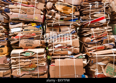 Cardboard baled up and let out for collection for recycling in Ship Street, Oxford, Oxfordshire Stock Photo