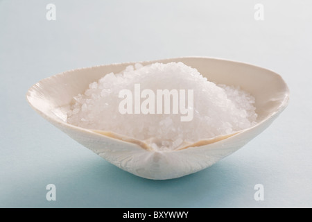 Salt in clam shell Stock Photo