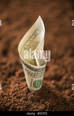 One hundred dollar bill in soil Stock Photo