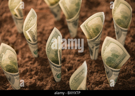 One hundred dollar bills in soil Stock Photo