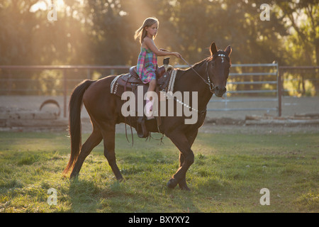Girl riding horse in paddock