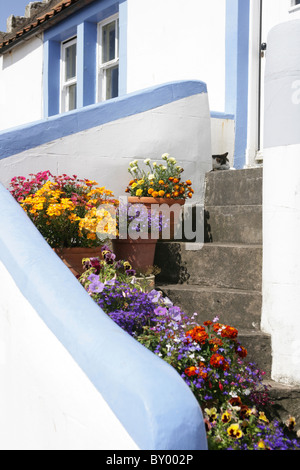 West Shore in Pittenweem, Fife Stock Photo - Alamy