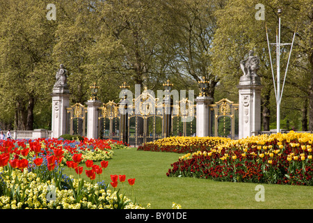 Flowers at Buckingham Palace with Canada Gate in background Stock Photo