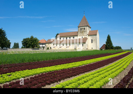 St George Church, Oberzell, Reichenau Island, Lake Constance, Baden-Wuerttemberg, Germany Stock Photo