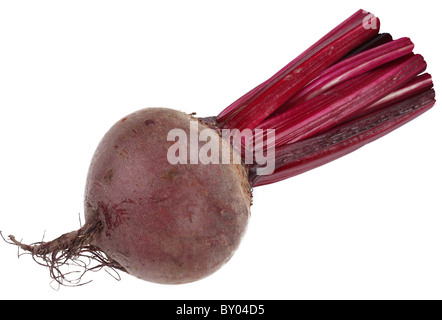Image of beet on white background. The file contains a path to cut. Stock Photo