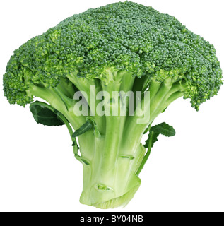 Image of cauliflower on white background. The file contains a path to cut. Stock Photo
