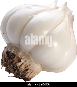 Image of garlic on white background. The file contains a path to cut. Stock Photo
