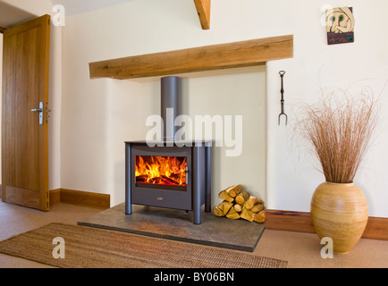 An Esse wood burning stove in a contemporary setting Stock Photo