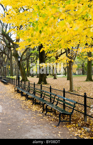 Park Bench in Autumn. Stock Photo