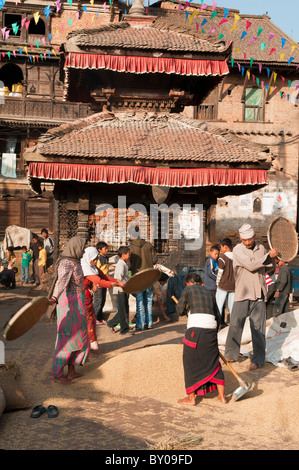 sifting rice grains during the autumn harvest in the old city of Bhaktapur near Kathmandu, Nepal Stock Photo