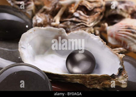Image of a black pearl in the shell on wet pebbles. Stock Photo