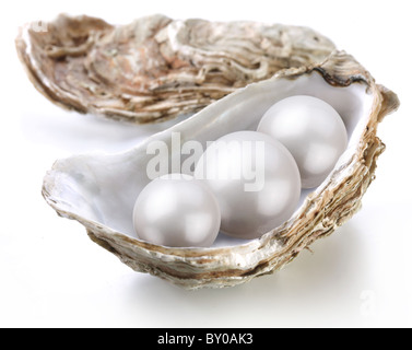 Image placer pearls in a shell on a white background. Stock Photo