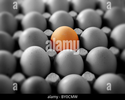 One coloured egg in a tray of black & white eggs Stock Photo