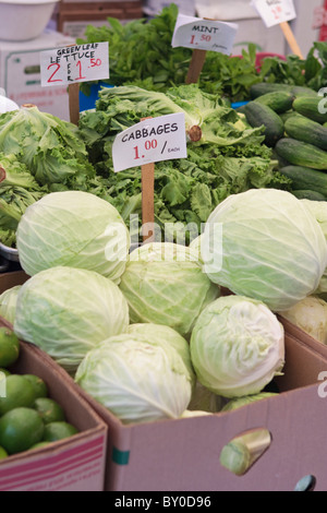 Cabbages for sale at an outdoor farmers market in Boston, Massachusetts. Stock Photo