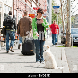 woman and Border Collie dog puppy in the city Stock Photo