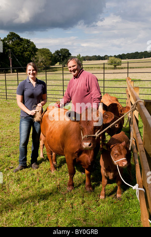Two people grooming their Dexter cattle Stock Photo