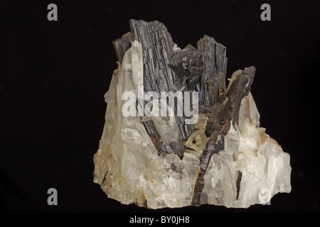 Hubnerite (Ferberite) on Quartz - Pasto Bueno - Peru - Iron manganese tungstate - the main ore of tungsten Stock Photo