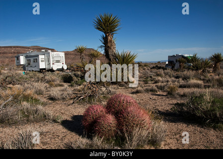 Hole-in-The-Wall Campground Barrel Cactus in front Mojave National Preserve California USA Stock Photo