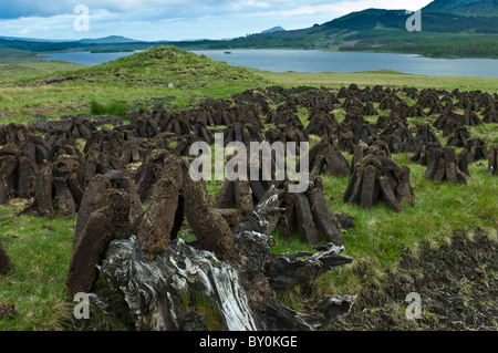 Stacks of turf, in process called footing, drying on peat bog, by Lough Inagh near Recess in Connemara, County Galway, Ireland Stock Photo