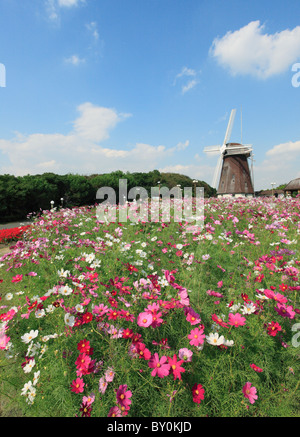 Tsurumi Ryokuchi Park, Moriguchi, Osaka, Japan Stock Photo