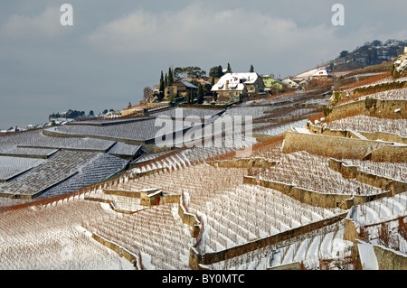 Terraced vineyards in the UNESCO World Heritage site Lavaux near Rivaz on a cold winter day, cantone of Vaud, Switzerland Stock Photo