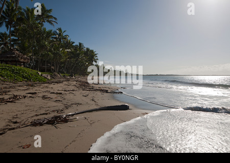 Beach of Pacific Harbour, Beqa Lagoon, Viti Levu, Fiji Stock Photo