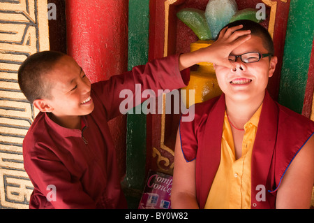 joking young Tibetan-Sherpa monks having fun at a monastery at Bodhnath in Kathmandu, Nepal Stock Photo
