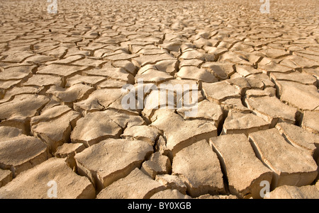 cracked soil pattern in the Zin valley, Arava, Israel. Stock Photo