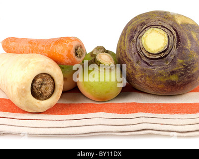 Fresh Raw Uncooked Root Vegetables Including Swede Turnips Carrots And Parsnips Isolated Against A White Background With No People And A Clipping Path Stock Photo