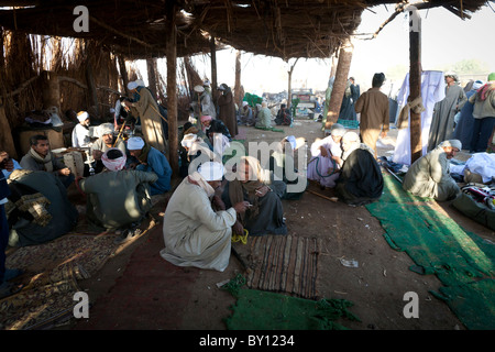 Men relaxing, talking, smoking and tea drinking in a shelter at Luxor Camel Market Egypt Africa Stock Photo