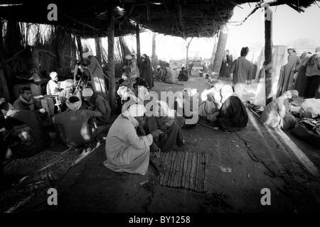 Black and white image of men relaxing, talking, smoking and tea drinking in a shelter at Luxor Camel Market Egypt Africa Stock Photo