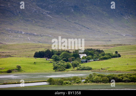 Farm at the foot of the Maamturk mountains near Maam, Connemara, County Galway, Ireland Stock Photo