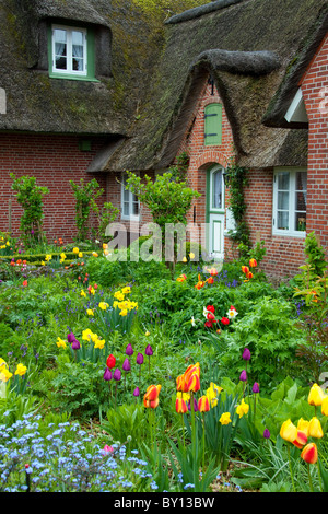 Colourful flowers in garden of Frisian traditional house with straw-thatched roof at Sankt Peter-Ording, North Frisia, Germany Stock Photo