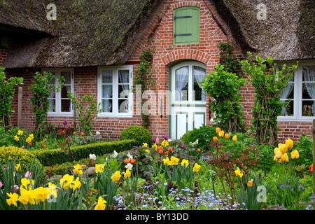 Colourful flowers in garden of Frisian traditional house with straw-thatched roof at Sankt Peter-Ording, North Frisia, Germany Stock Photo