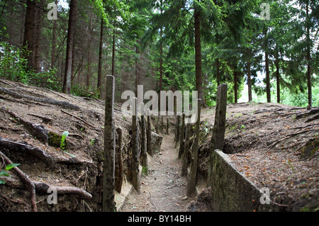 A trench from the First World War, Verdun, France Stock Photo