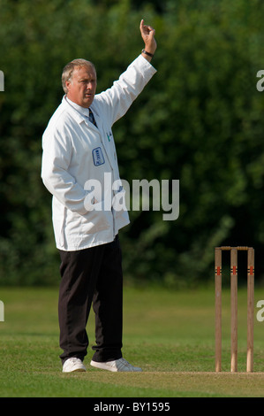 Cricket umpire signaling. Stock Photo