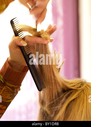 Blond long hair being cut by hairdresser closeup Stock Photo