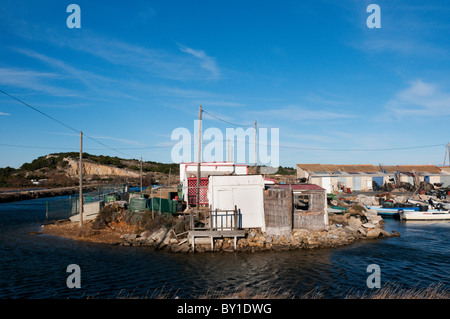Fishermen's cabins (Cabanes de pecheurs) on the edge of 'Etang de l'Ayrolle' south of Narbonne in the south of France. Stock Photo