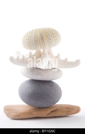 Stack of zen pebbles and shells on a shiny Stock Photo