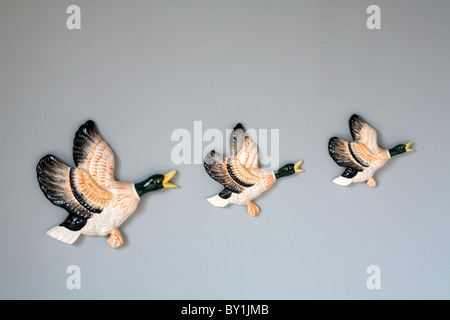 Flying duck ornaments on wall Stock Photo