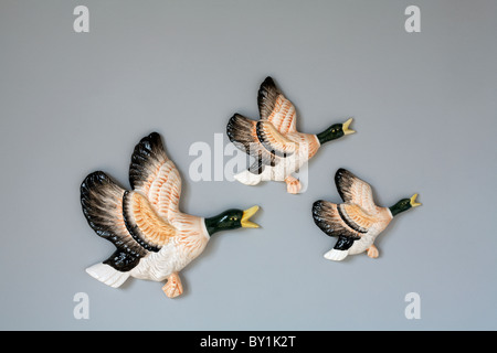 Three Flying Duck Ornaments on wall Stock Photo