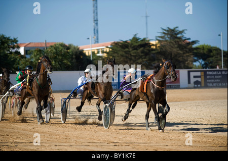 Spain, Menorca, Mahon.  Trotting races at the San Luis Road Hippodrome are a popular entertainment for locals and visitors. Stock Photo