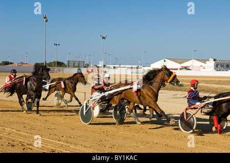 Spain, Menorca, Mahon.  Trotting races at the San Luis Road Hippodrome are a popular entertainment for locals and visitors. Stock Photo
