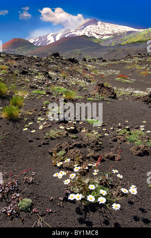 Volcanic ash on the slopes slopes of Mount Etna, active olcanic mountain , Sicily Stock Photo