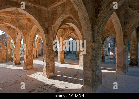 The magnificent ruins of the Great Mosque at Kilwa Kisiwani which was first built in the 10th and 11th centuries with important Stock Photo