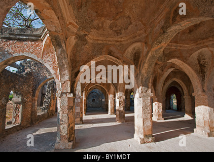 The magnificent ruins of the Great Mosque at Kilwa Kisiwani which was first built in the 10th and 11th centuries with important Stock Photo