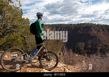 USA, Arizonia, Grand Canyon north rim, Kaibab National Forest.  The vast expanse of national park areas away from the main Stock Photo