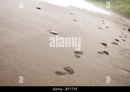 Footprints in sand at beach Stock Photo